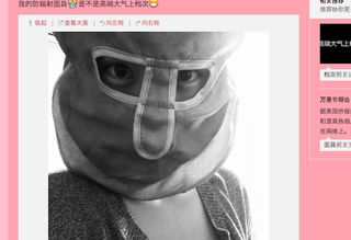 Illustration for article titled China's Radiation Masks Sure Make Computer Work Interesting